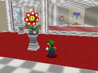 SM64DS Mirror Room.png