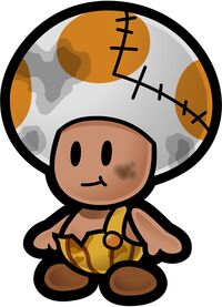 Shipwrecked Toad.jpg