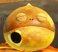YatMB Detonut shell.jpg