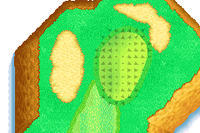 MGAT Mushroom Course Green 18.png
