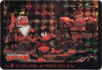 DKC Card 5.jpg