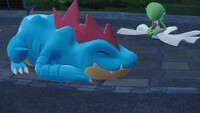 Legendszaferaligatr.jpg