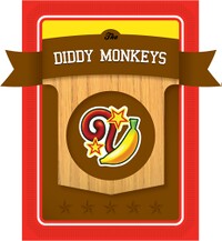 Level3 Diddykong Front.jpg