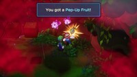 MLB Pep-Up Fruit.jpg