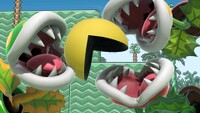 Twitter Sora Sakurai 2022-08-08.jpg