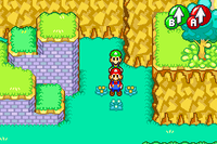 Bean Fruit 6.png