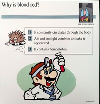 Blood red quiz card.jpg