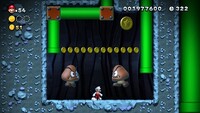 NSMBU 5-1 Coin 2.jpg