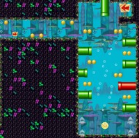 NSMB W3-3 3rd Star Coin.jpg