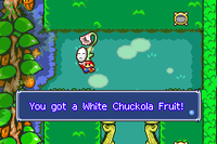 Chucklehuck Woods (White Chuckola Fruit).png