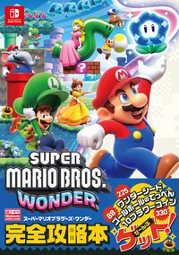 SMBW NDREAM Guidebook Cover.jpg