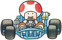 Toad SMK artwork.jpg