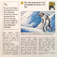 Abominable Snowman quiz card back.png