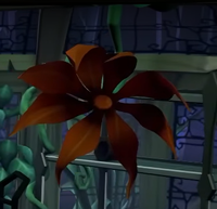 OrangeFlowerLMDM.png