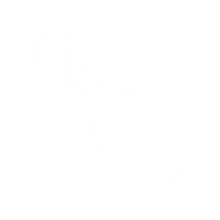 PPS Ensemble Ninja Icon.png