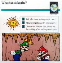 Stalactite quiz card.png