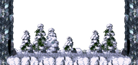 DKCUnusedBonus5.png