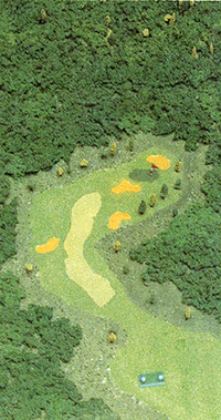 Golf JC Hole 5 art.png
