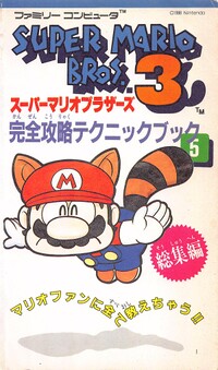 Inner cover SMB3 guide 5.jpg