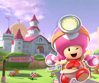 MKT Icon RoyalRacewayRN64 ToadetteExplorer.png