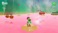 SMO berries.jpg