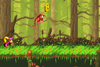 BarrelBayou-GBA-N.png