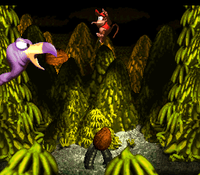 DKC-NeckyRevenge.png