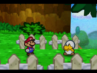 NM PM It's Jr Troopa.png