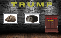 Trump Hallway.png