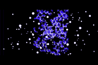 WWTwisted Wario-Man Space BG.png