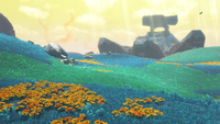 NM DKB Hilltop Layer.png