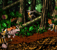 AnimalAntics-RambiDKC2.png