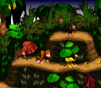 Animal Token DKC screenshot.png