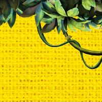 DKCRHD NSO Icon 57.png