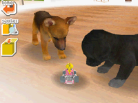 NM nintendogs Toy Peach Kart.png