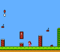 SMB2 Floating Door.png