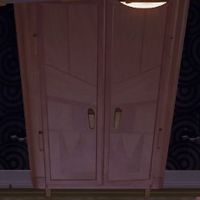 LM3 Closet Trap.jpg