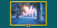 PN Snowy scenes poll banner.jpg