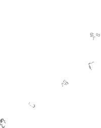 Golden Rally Tracks.png