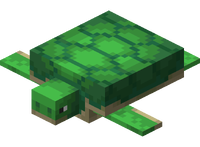 Minecraft Sea Turtle.png