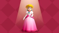 PPS Gradiant Dress.jpg