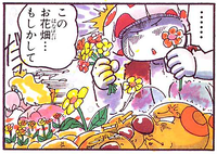Toad SM4MT.png