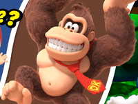 DK Happy art.png