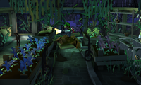 GreenhouseLMDM.png