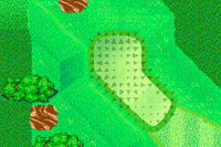 MGAT Mushroom Course Green 13.png