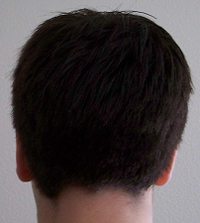 Pictureof3Dwhoawhoawhoaok.png