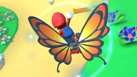 MKT Butterfly Sunset.jpg