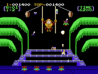 NM DK3 Flower Guarding BGM.png