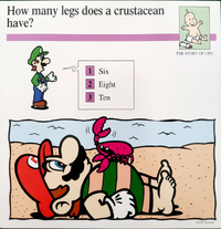 Crustacean quiz card.png