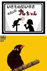 WWTouched Pet Parrot JP.png